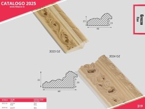 Articolo n.2023-2024